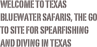 Welcome to texas bluewater safaris, The Go to site for spearfishing and Diving in Texas